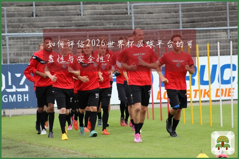 如何评估2026世界杯买球平台的可靠性与安全性？