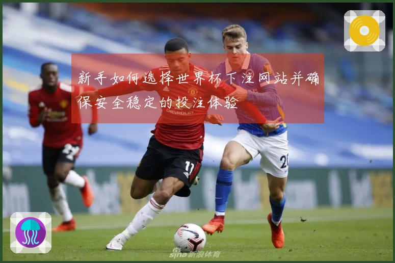 新手如何选择世界杯下注网站并确保安全稳定的投注体验